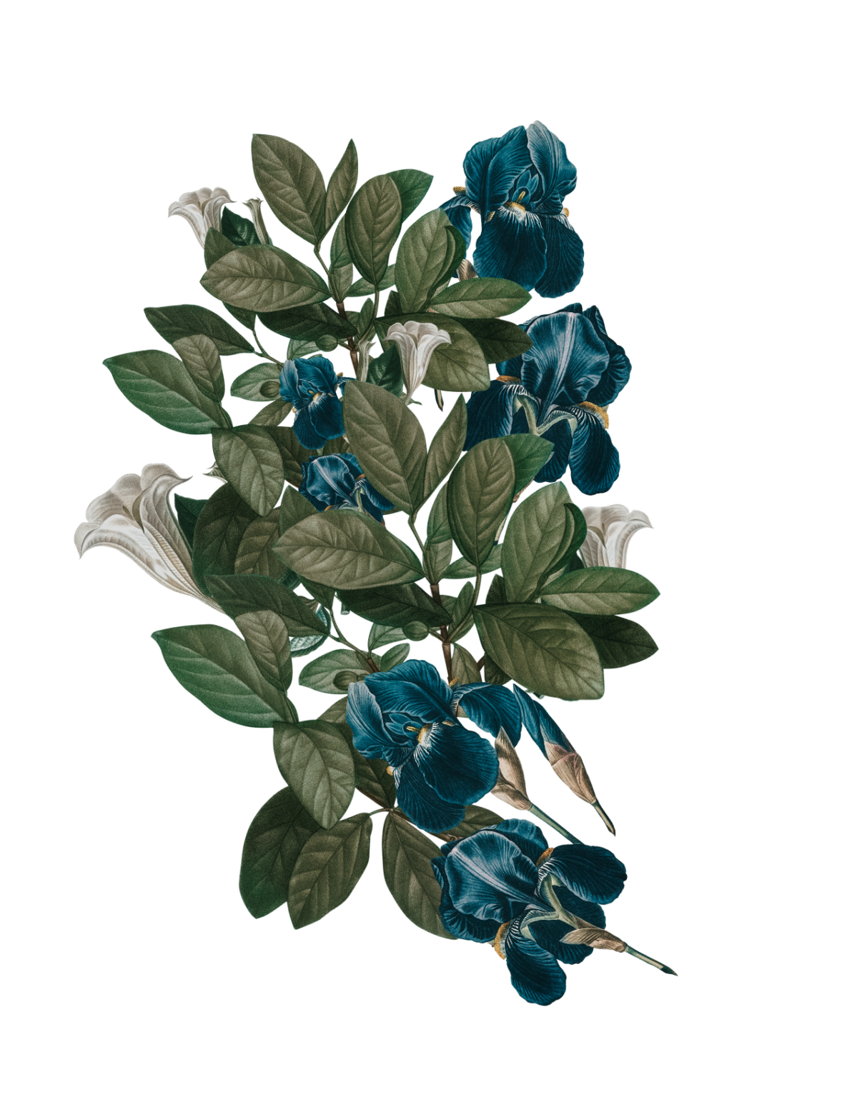 claire andre petitdemange interface fleurs